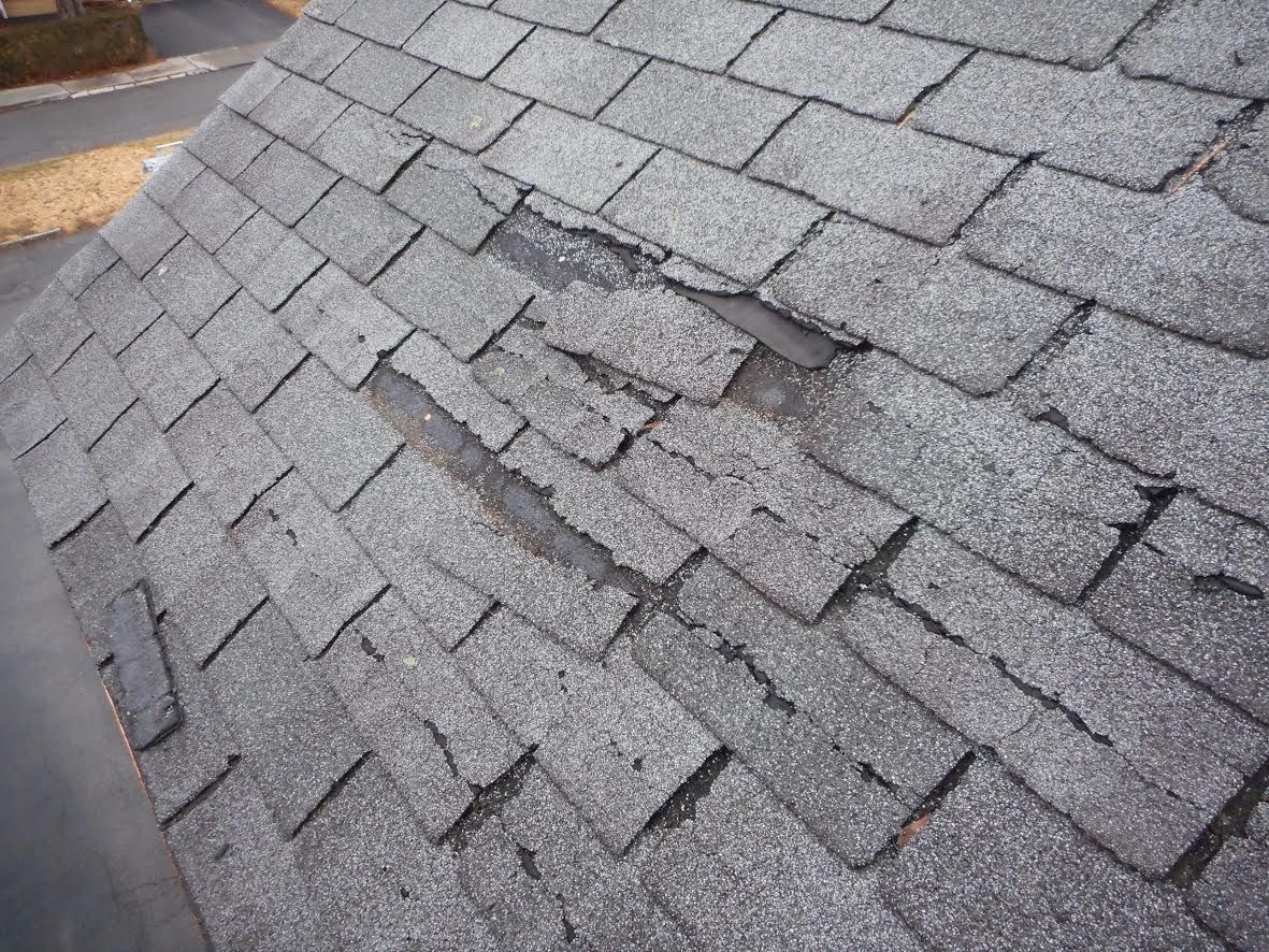 broadview+heights+shingles+in+need+of+repair 1920w