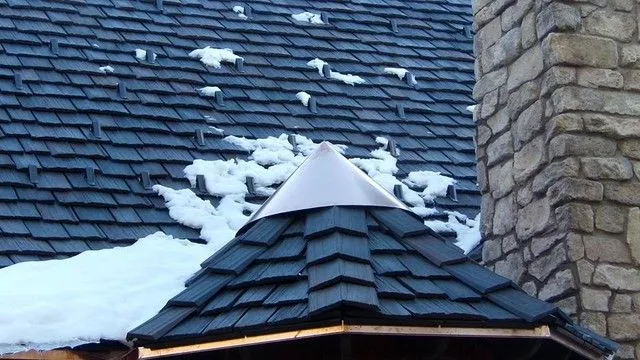 delaware +oh+home+with+brava+tiles+in+the+winter 1920w