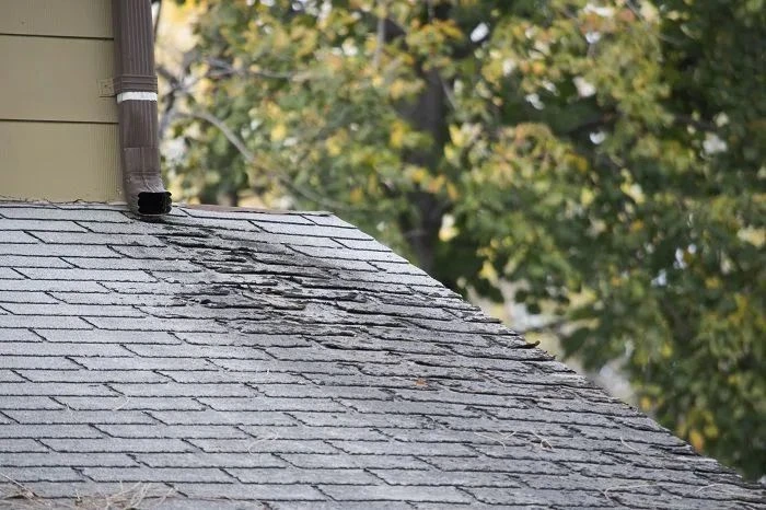 Asphalt shingle roof showing algae staining and moisture damage near a roof penetration and downspout area.
