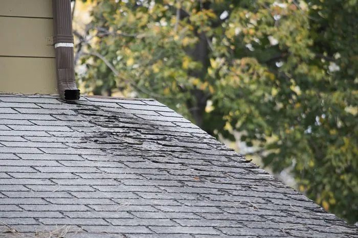 Damaged shingle roof in North Canton 